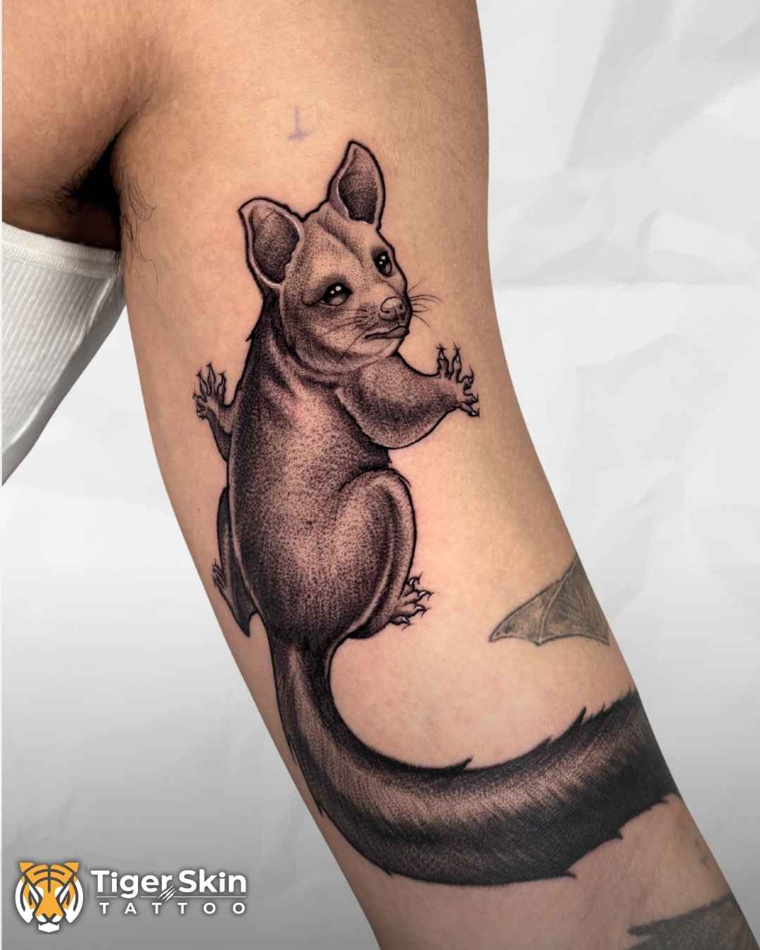 Pet Portraits tattoo Thane by Tiger Skin