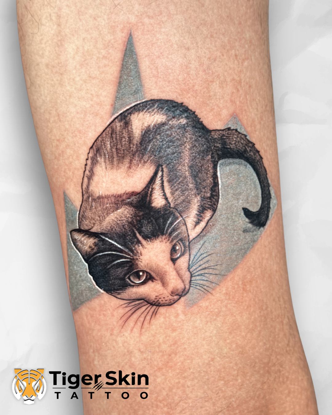Cat memorial portrait tattoo black and grey Thane