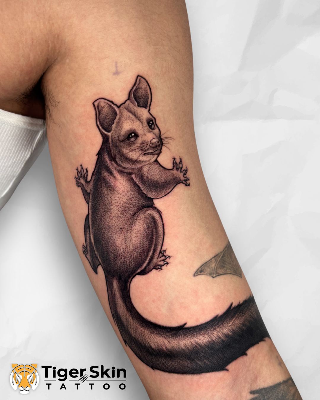 Pet portrait realism tattoo Tiger Skin Tattoos Thane